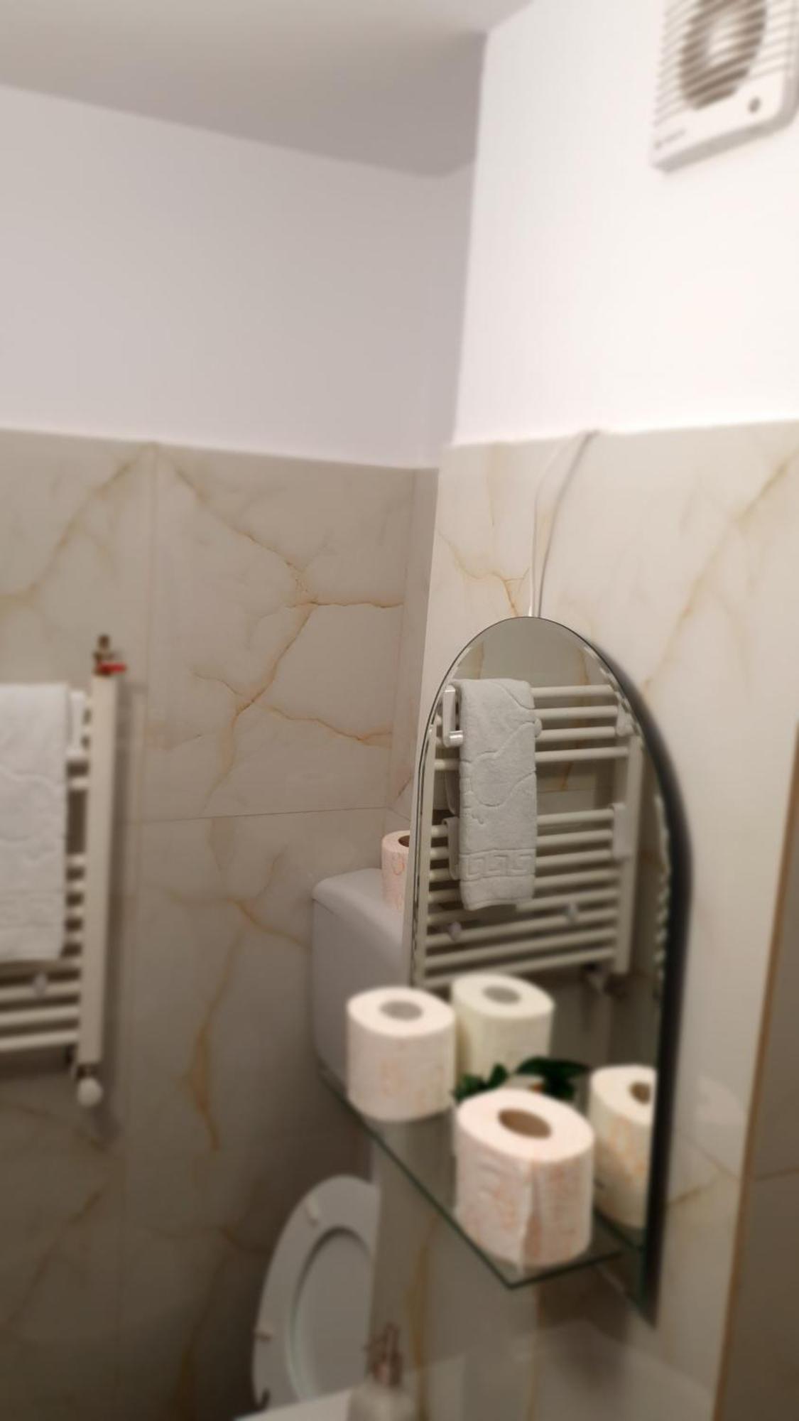 Janine Studio Μπρασόβ Εξωτερικό φωτογραφία
